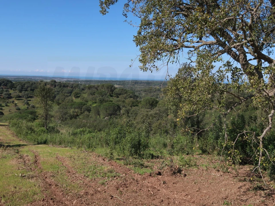 Terreno Agricola ou Rústico para Venda em Melides Foto 23