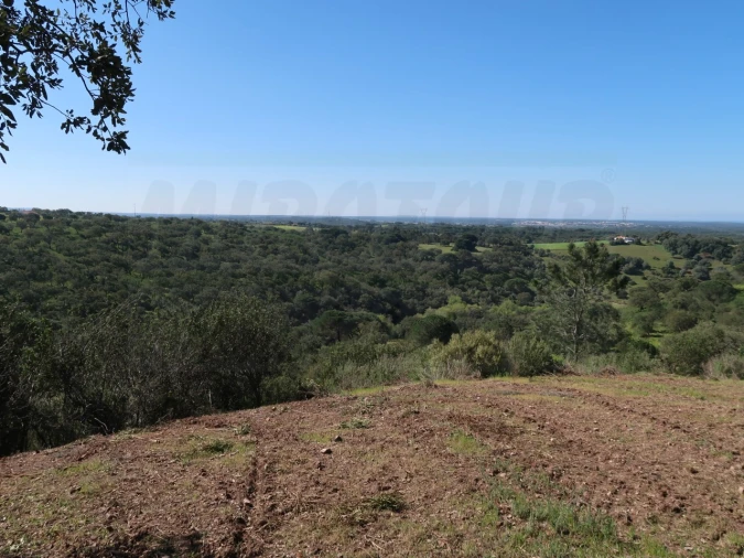 Terreno Agricola ou Rústico para Venda em Melides Foto 3