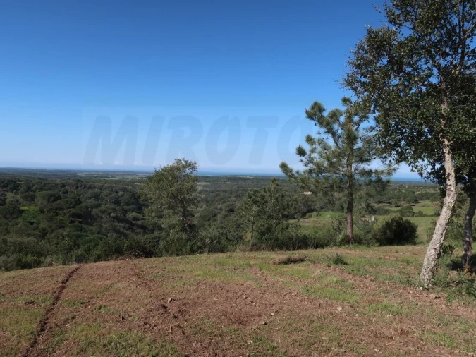 Terreno Agricola ou Rústico para Venda em Melides Foto 6