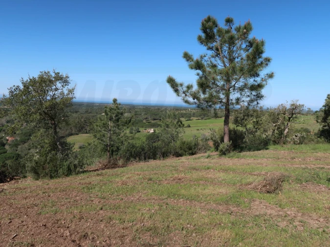 Terreno Agricola ou Rústico para Venda em Melides Foto 7