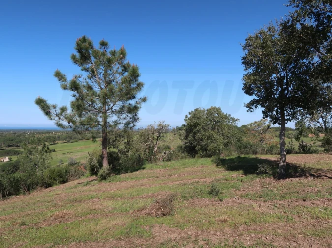 Terreno Agricola ou Rústico para Venda em Melides Foto 9