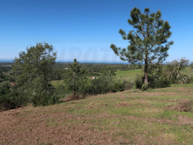 Terreno Agricola ou Rústico para Venda em Melides Foto 10