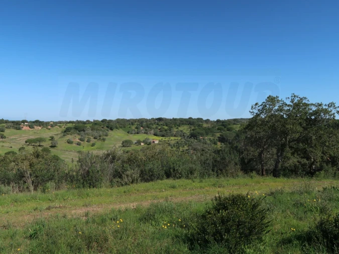 Terreno Agricola ou Rústico para Venda em Melides Foto 12
