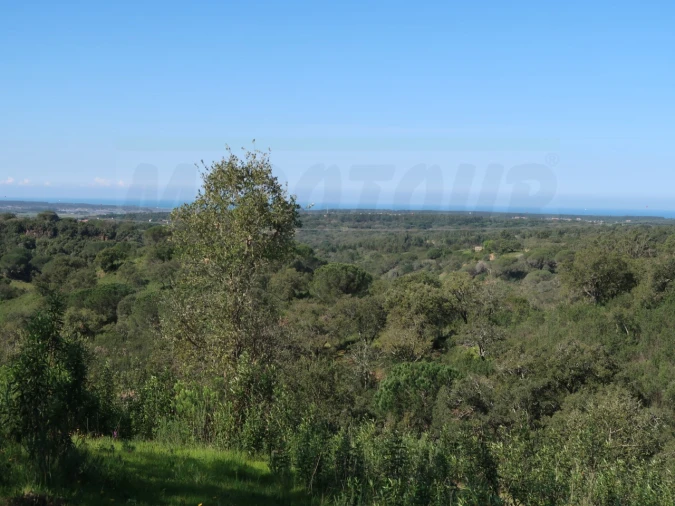 Terreno Agricola ou Rústico para Venda em Melides Foto 20