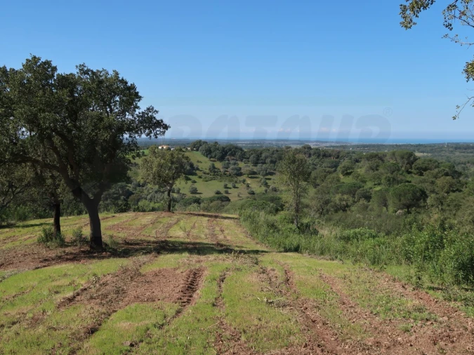 Terreno Agricola ou Rústico para Venda em Melides