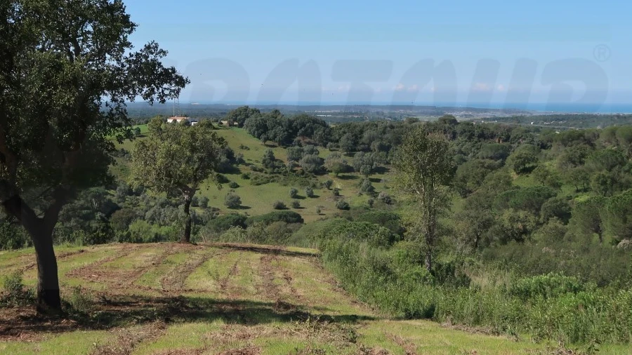 Terreno Agricola ou Rústico para Venda em Melides