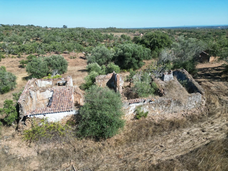 Quinta para Venda em Abela Foto 2