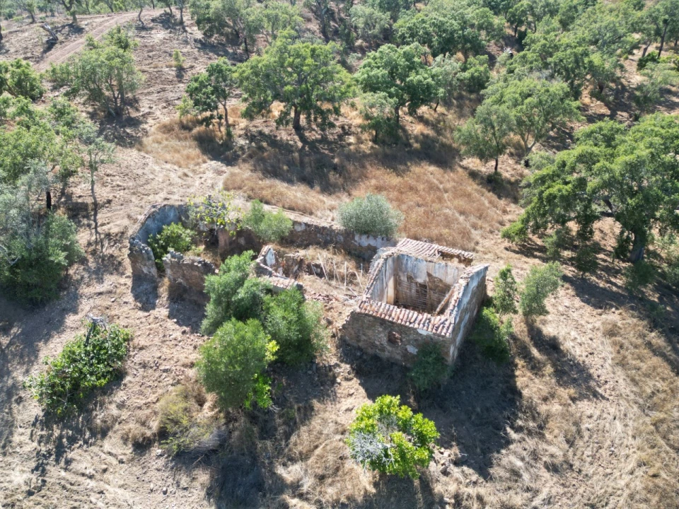 Quinta para Venda em Abela Foto 3