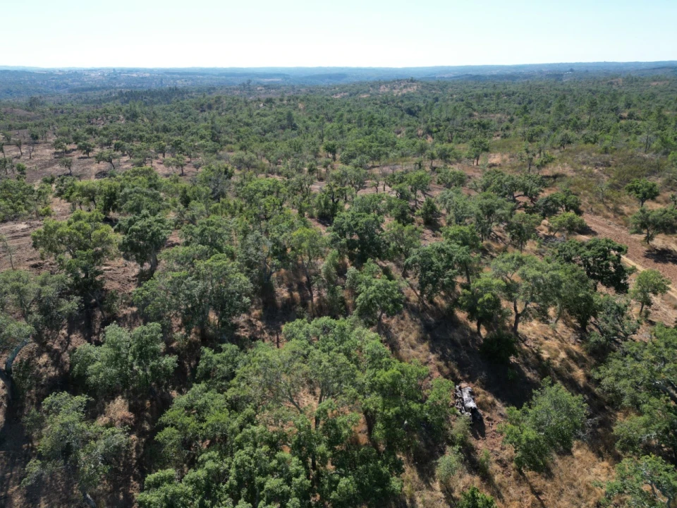 Quinta para Venda em Abela Foto 7