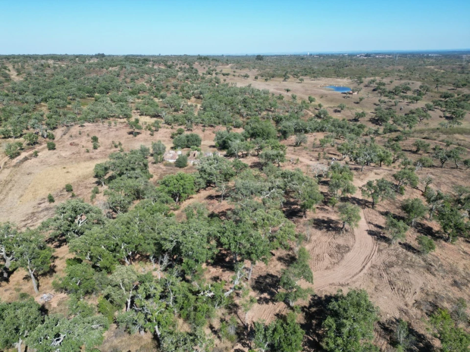 Quinta para Venda em Abela Foto 12