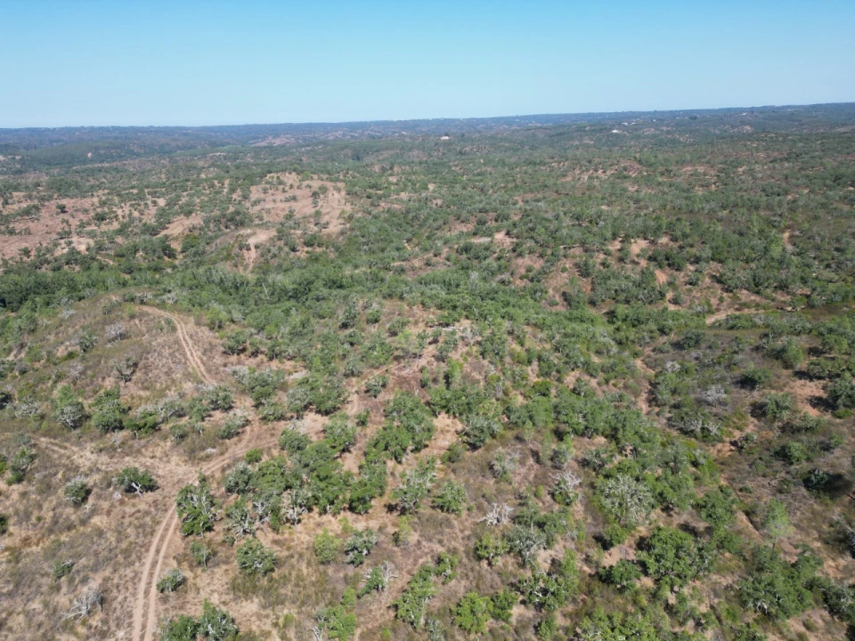 Quinta para Venda em Abela Foto 13
