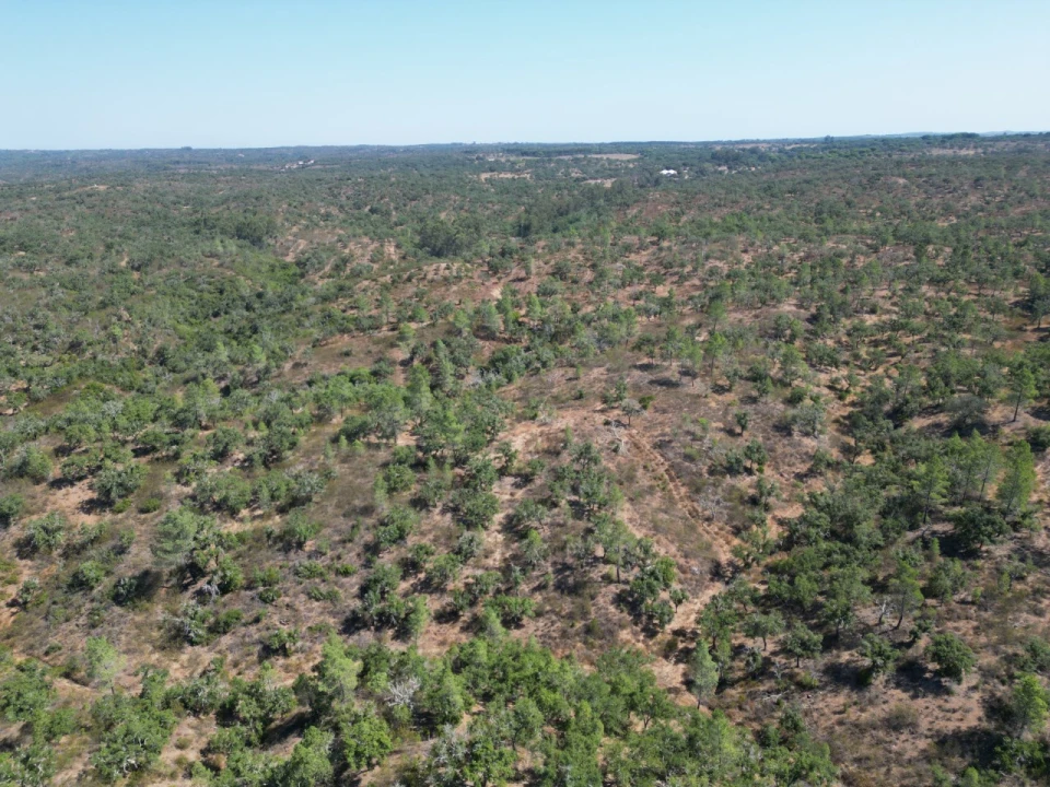 Quinta para Venda em Abela Foto 14