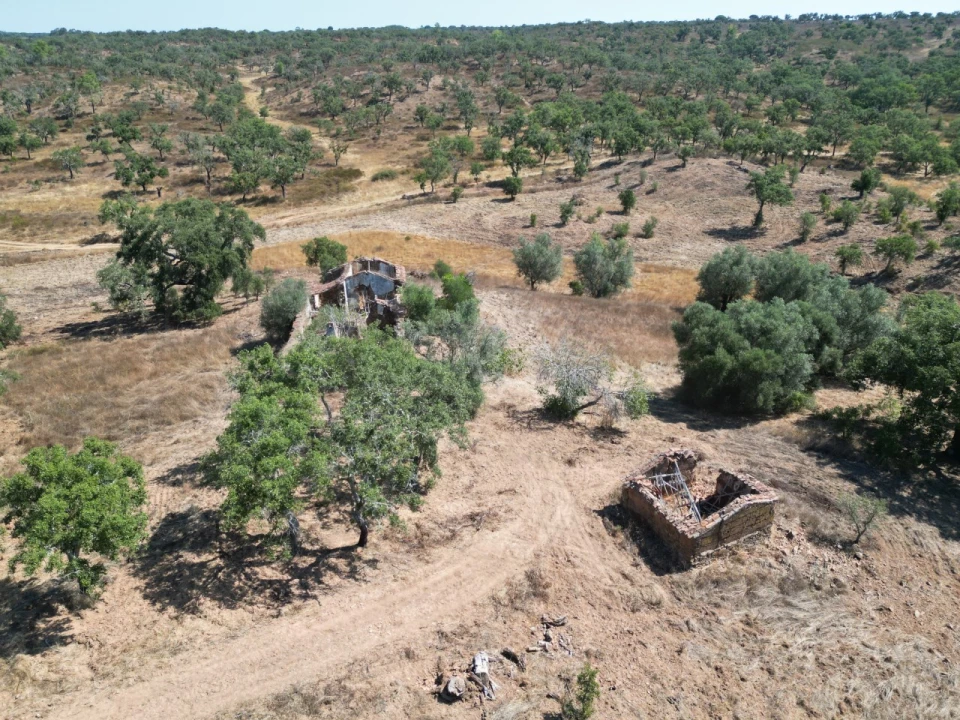 Quinta para Venda em Abela Foto 16