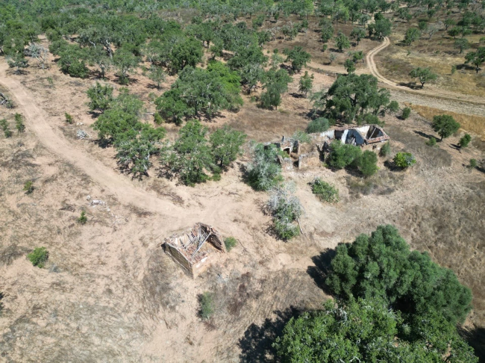 Quinta para Venda em Abela Foto 17