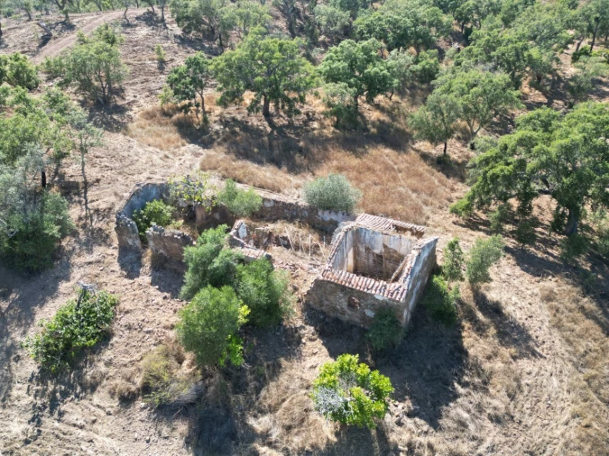 Quinta para Venda em Abela Foto 3
