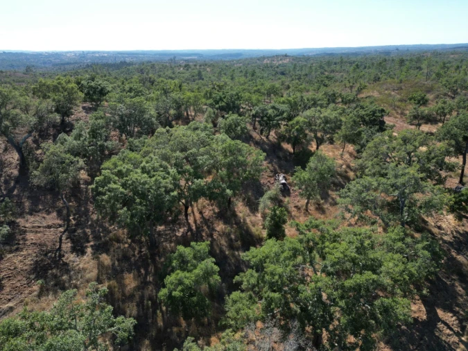 Quinta para Venda em Abela Foto 6