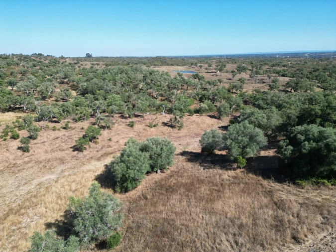 Quinta para Venda em Abela Foto 9