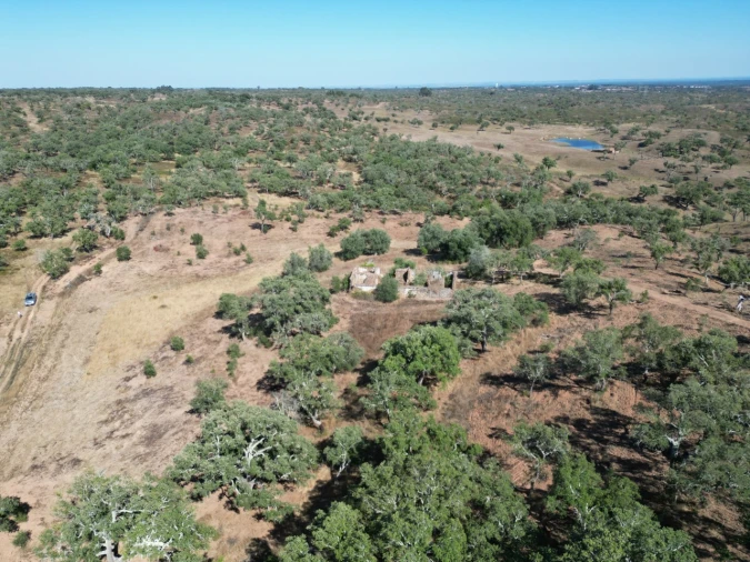 Quinta para Venda em Abela Foto 11