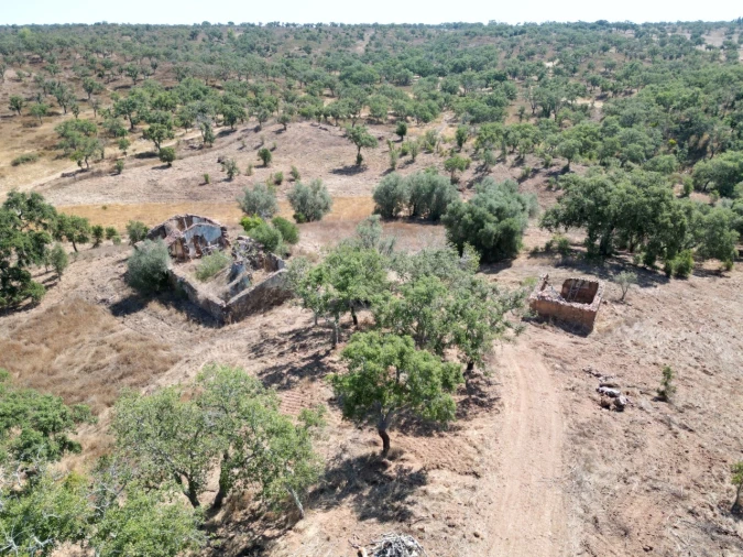 Quinta para Venda em Abela Foto 15