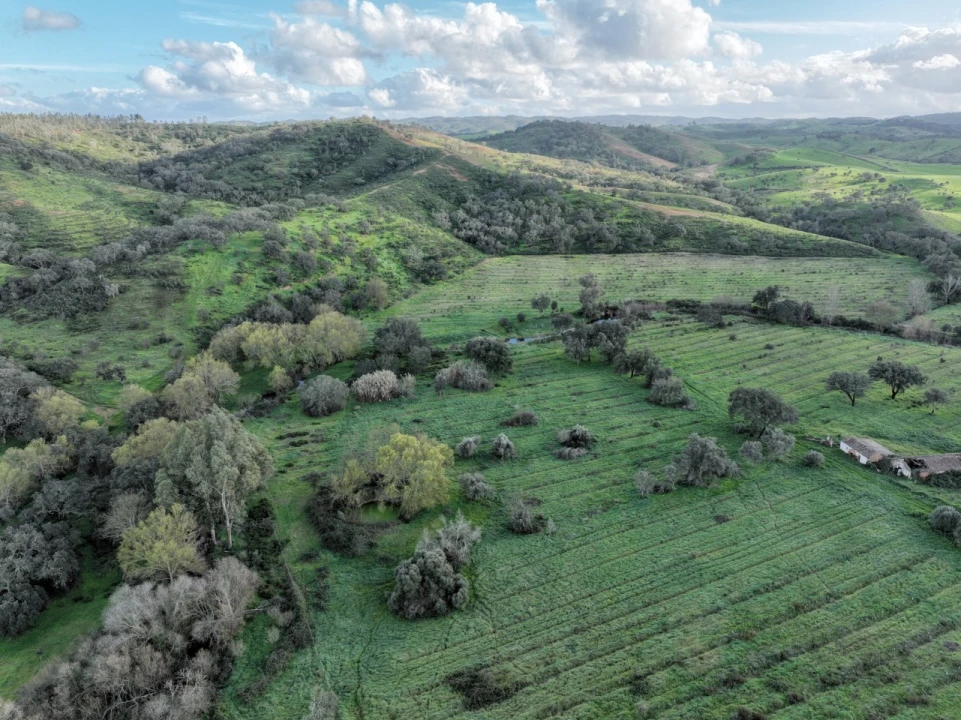 Quinta para Venda em Garvão e Santa Luzia Foto 10