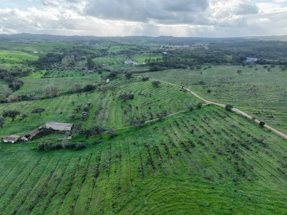 Quinta para Venda em Garvão e Santa Luzia Foto 14