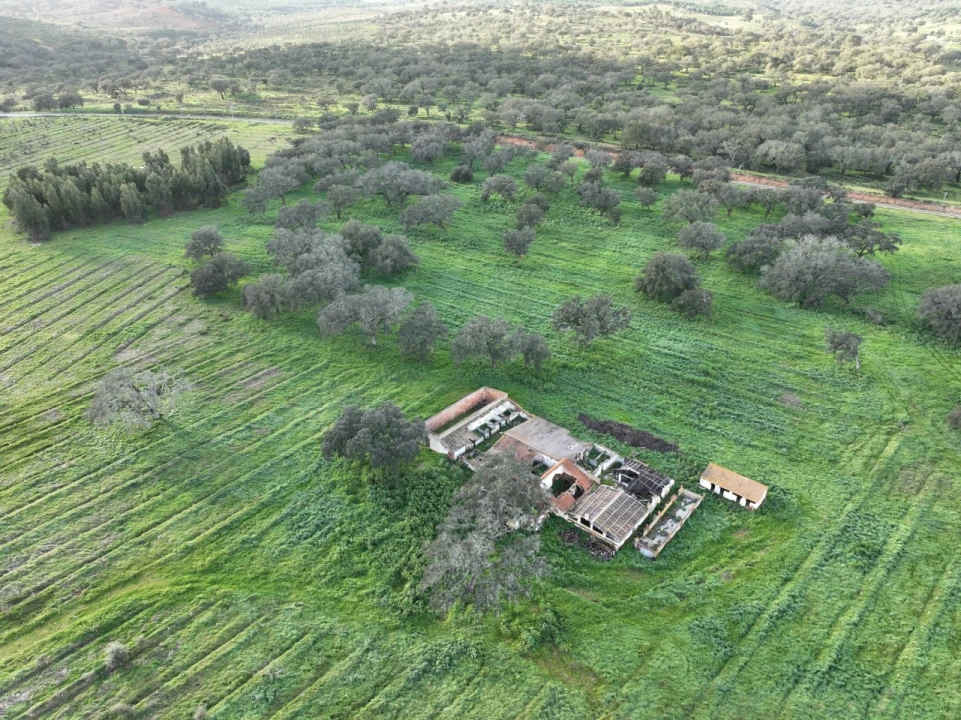 Quinta para Venda em Garvão e Santa Luzia Foto 16