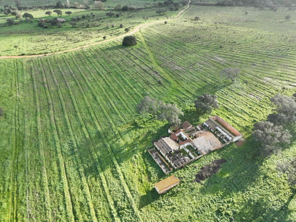 Quinta para Venda em Garvão e Santa Luzia Foto 18