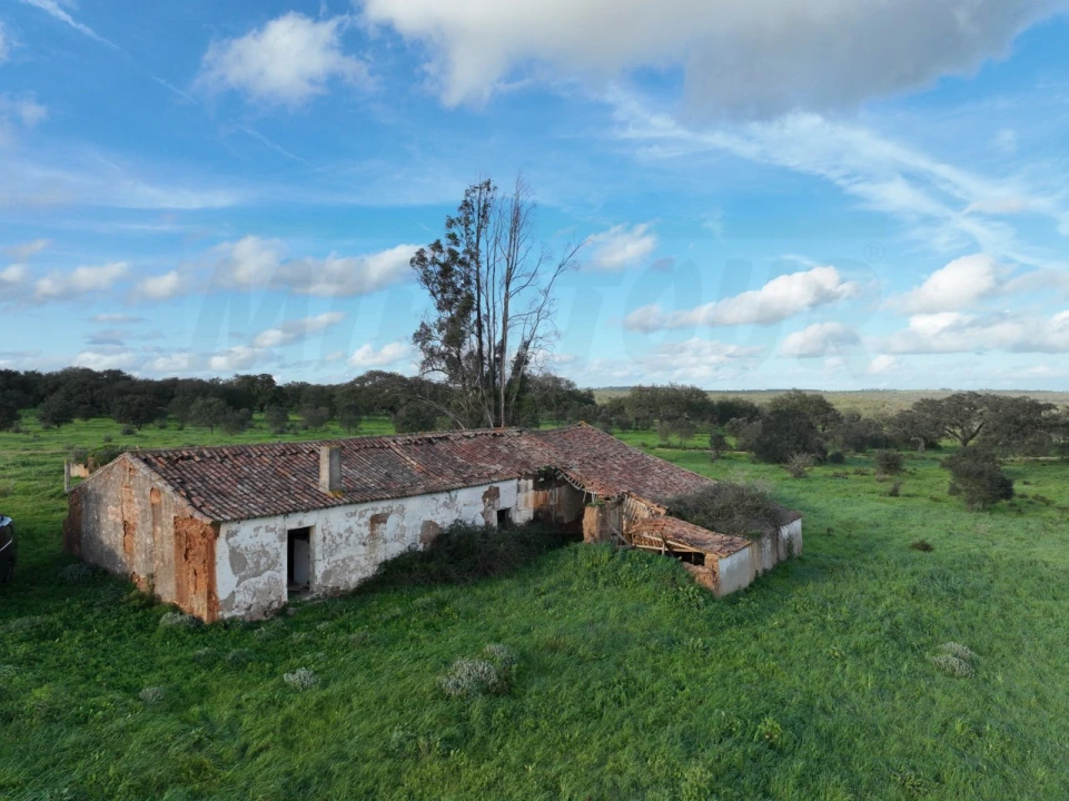 Quinta para Venda em Garvão e Santa Luzia Foto 23