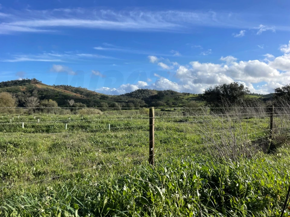 Quinta para Venda em Garvão e Santa Luzia Foto 24