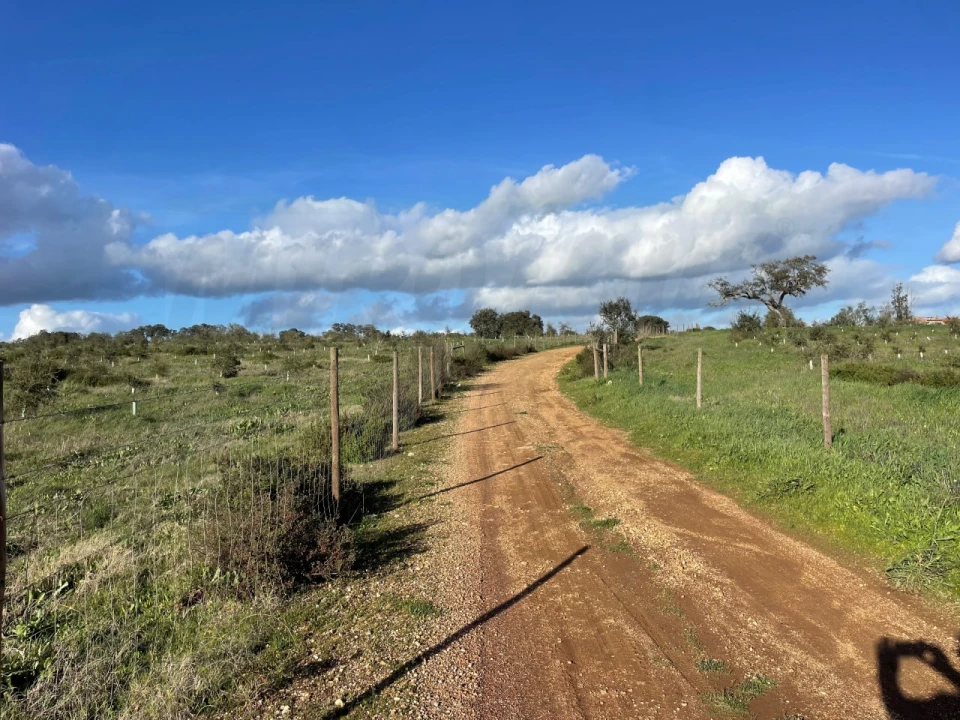 Quinta para Venda em Garvão e Santa Luzia Foto 31