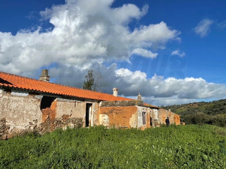 Quinta para Venda em Garvão e Santa Luzia Foto 38