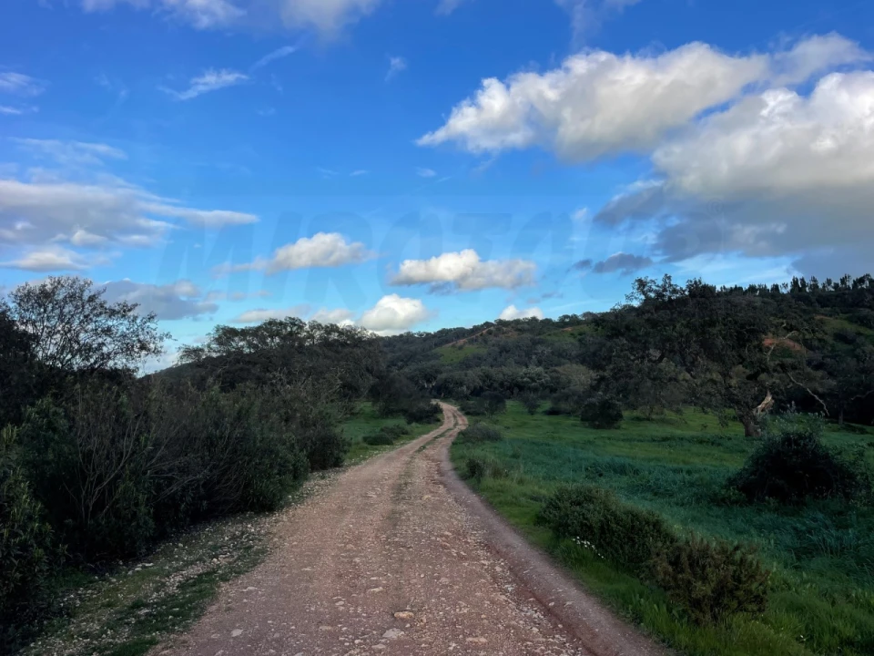 Quinta para Venda em Garvão e Santa Luzia Foto 56