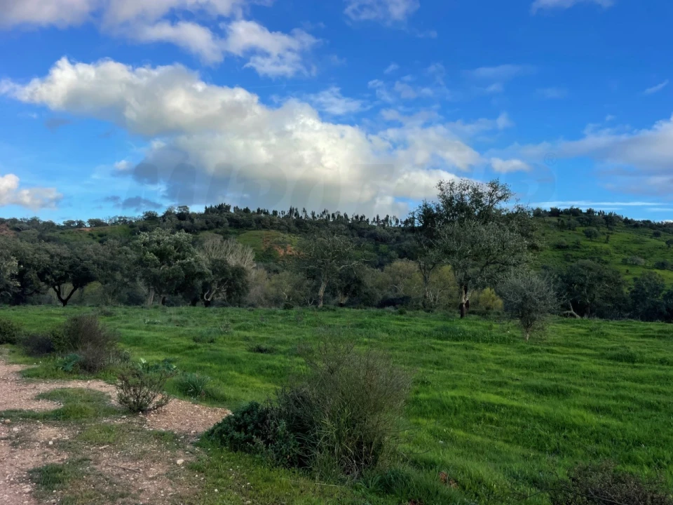 Quinta para Venda em Garvão e Santa Luzia Foto 58
