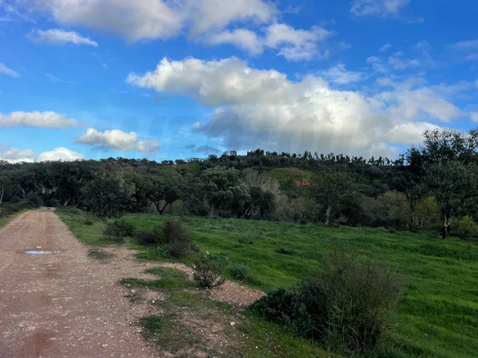 Quinta para Venda em Garvão e Santa Luzia Foto 59