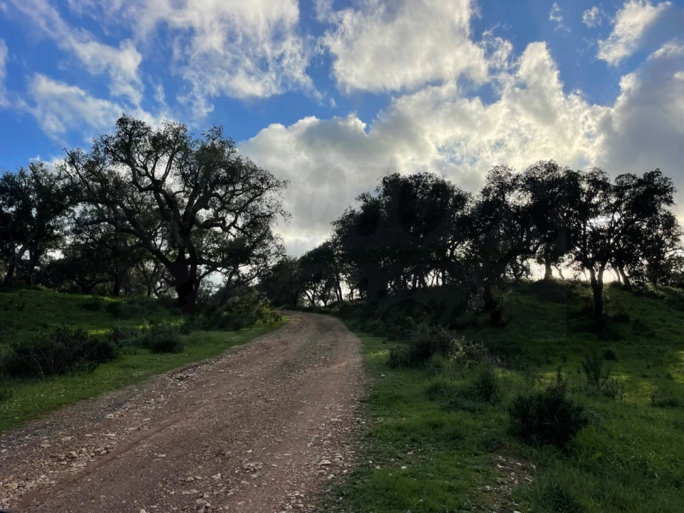 Quinta para Venda em Garvão e Santa Luzia Foto 66
