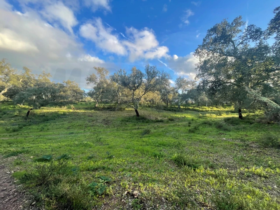 Quinta para Venda em Garvão e Santa Luzia Foto 81