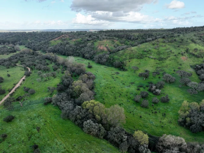 Quinta para Venda em Garvão e Santa Luzia Foto 11