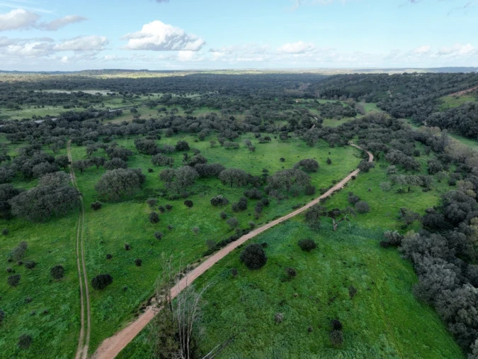 Quinta para Venda em Garvão e Santa Luzia Foto 12