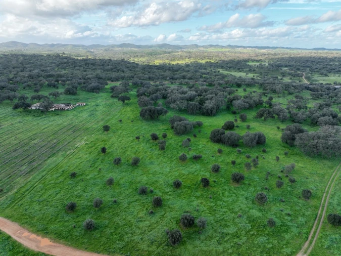 Quinta para Venda em Garvão e Santa Luzia Foto 13