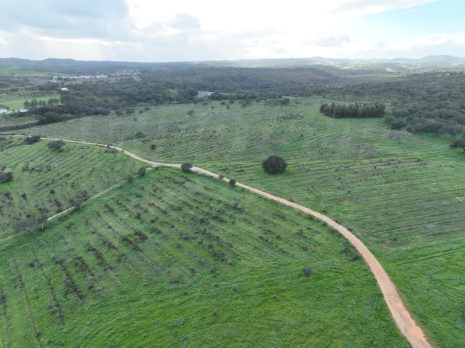 Quinta para Venda em Garvão e Santa Luzia Foto 15