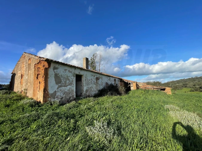Quinta para Venda em Garvão e Santa Luzia Foto 30