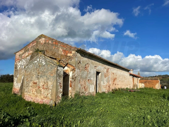 Quinta para Venda em Garvão e Santa Luzia Foto 37