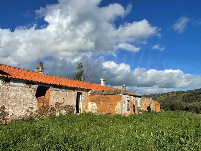 Quinta para Venda em Garvão e Santa Luzia Foto 38