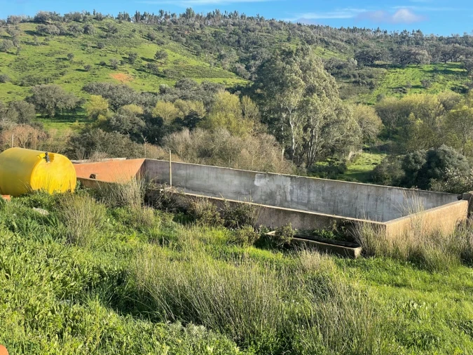 Quinta para Venda em Garvão e Santa Luzia Foto 40