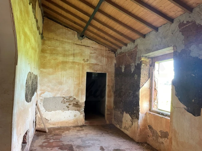 Quinta para Venda em Garvão e Santa Luzia Foto 48