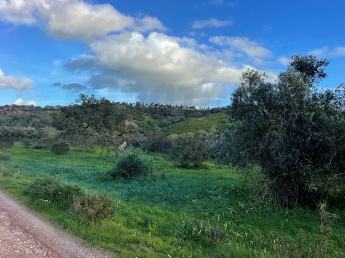Quinta para Venda em Garvão e Santa Luzia Foto 55