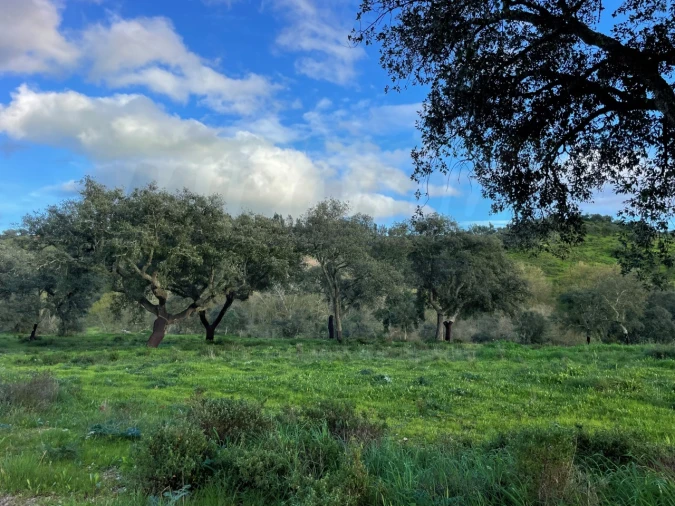 Quinta para Venda em Garvão e Santa Luzia Foto 60