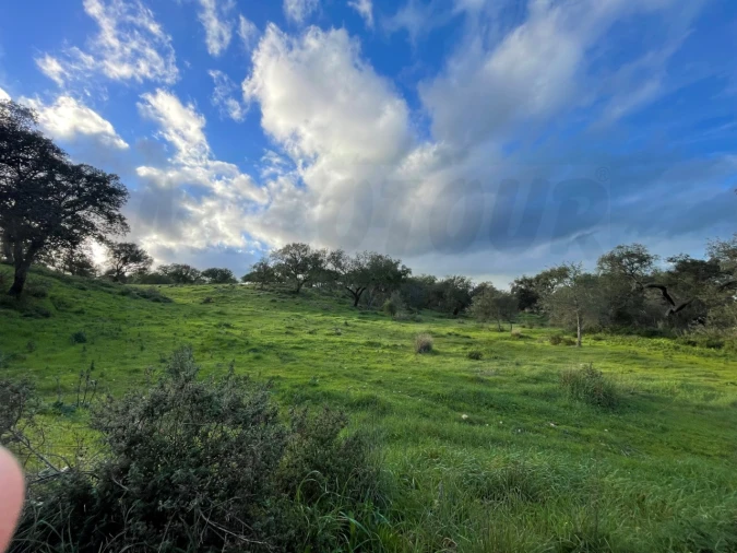 Quinta para Venda em Garvão e Santa Luzia Foto 67