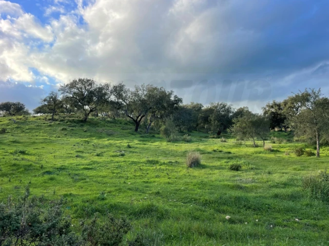 Quinta para Venda em Garvão e Santa Luzia Foto 69