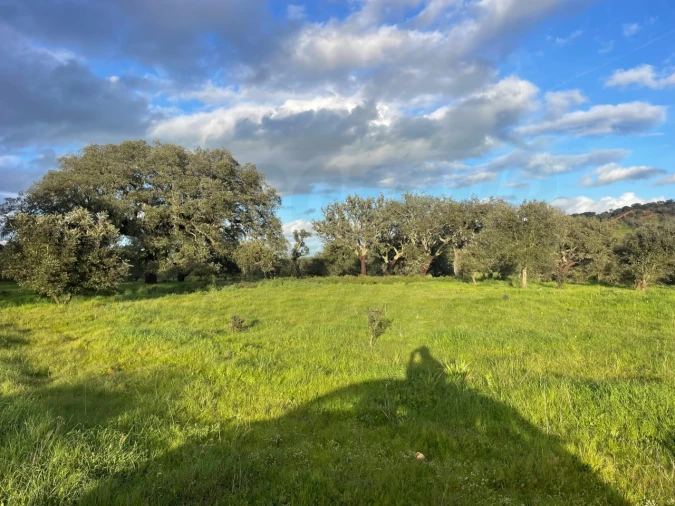 Quinta para Venda em Garvão e Santa Luzia Foto 72